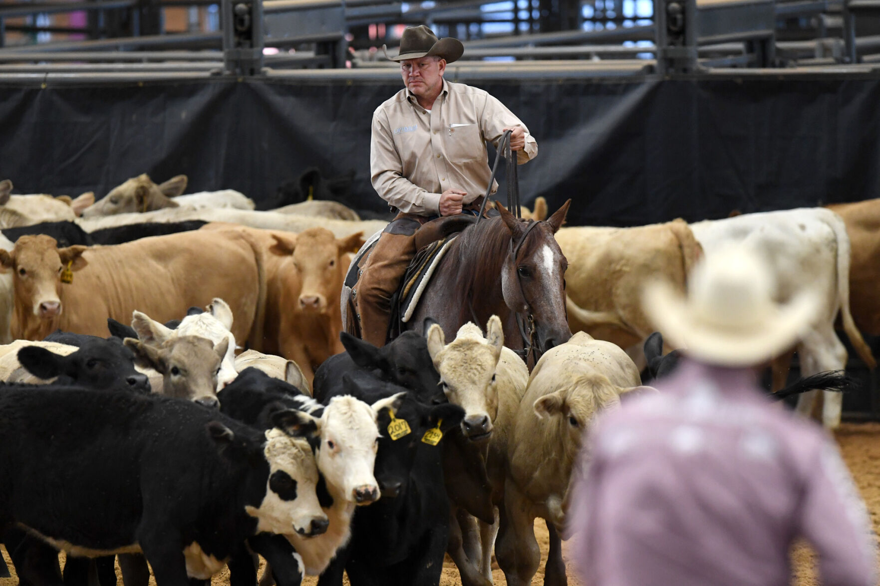 Michelle Lynn Holsey Foundation NCHA Cutting & Benefit